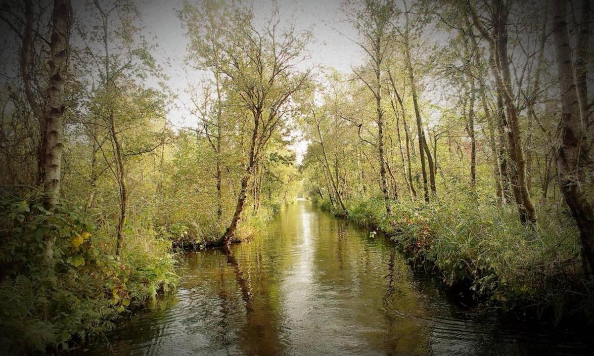 Natuur Lodge Blesdijke Экстерьер фото
